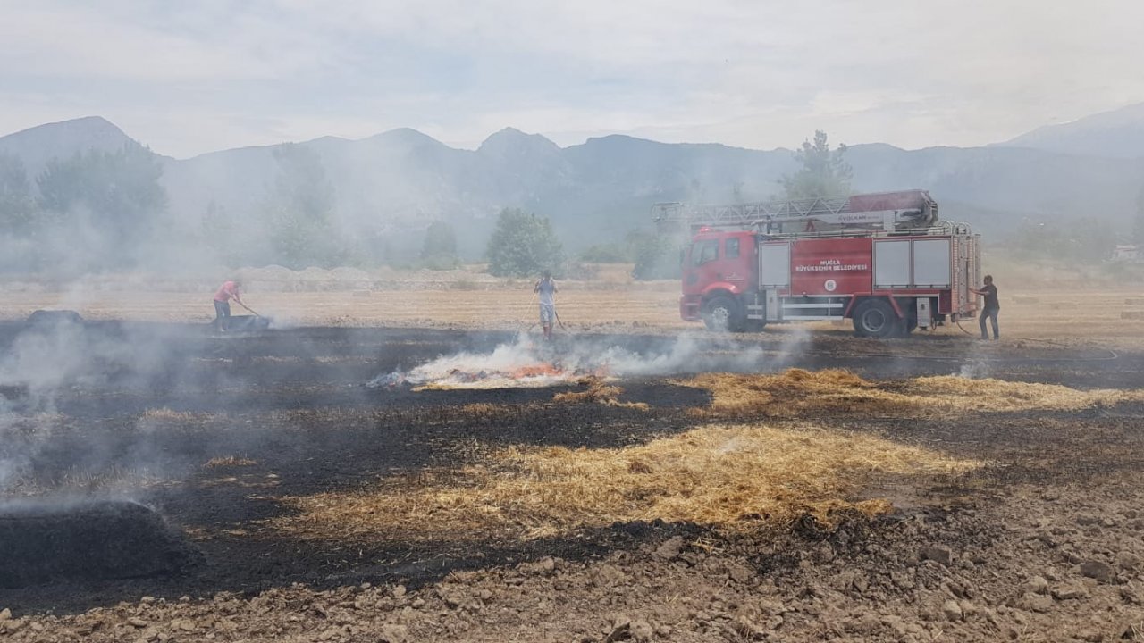 Seydikemer'de tarladaki 80 saman balyası yandı