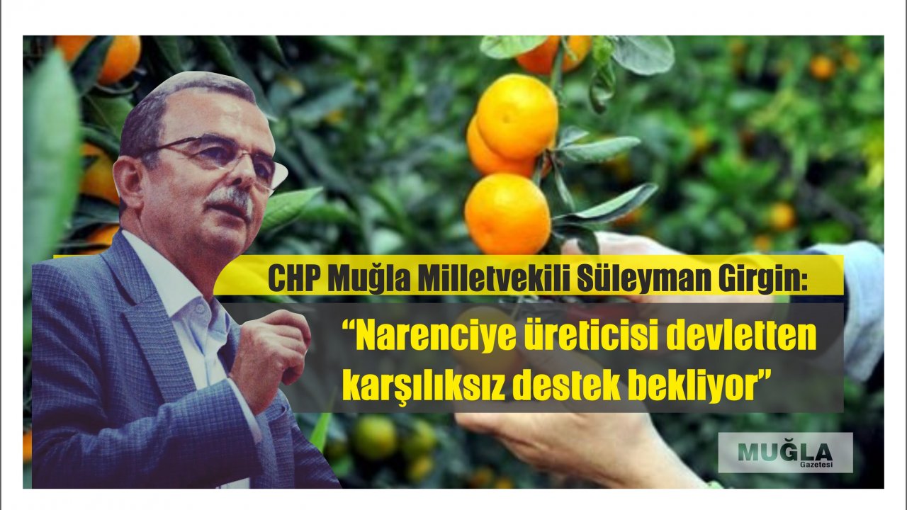“Narenciye üreticisi devletten karşılıksız destek bekliyor”