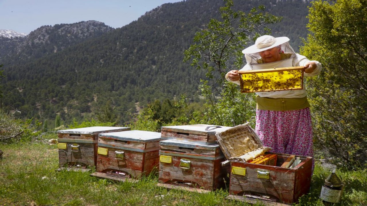 Eşinin vasiyeti arılar geçim kaynağı oldu