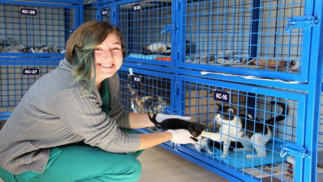 Hayvanlar Beethoven, Mozart dinleyerek rahatlıyor