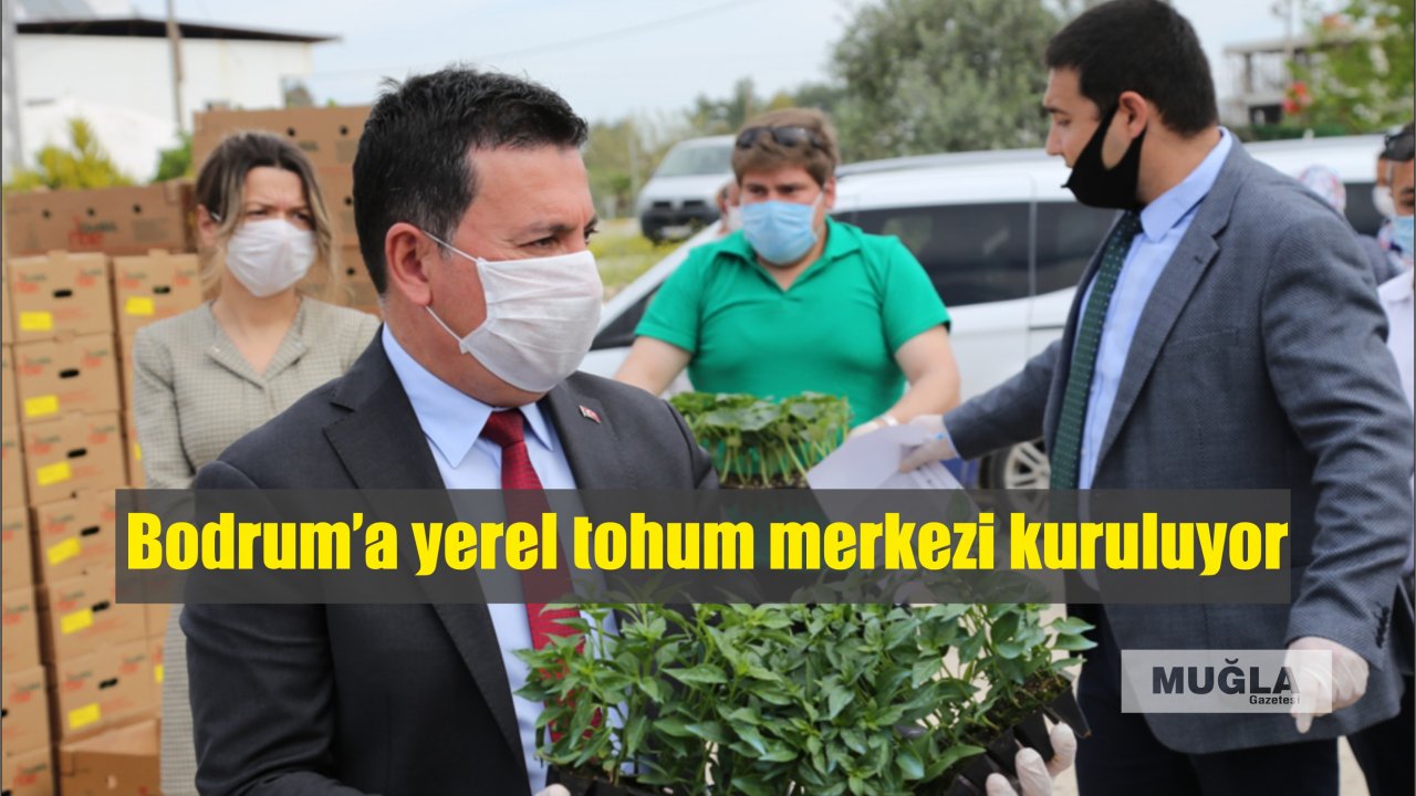 Bodrum’a yerel tohum merkezi kuruluyor