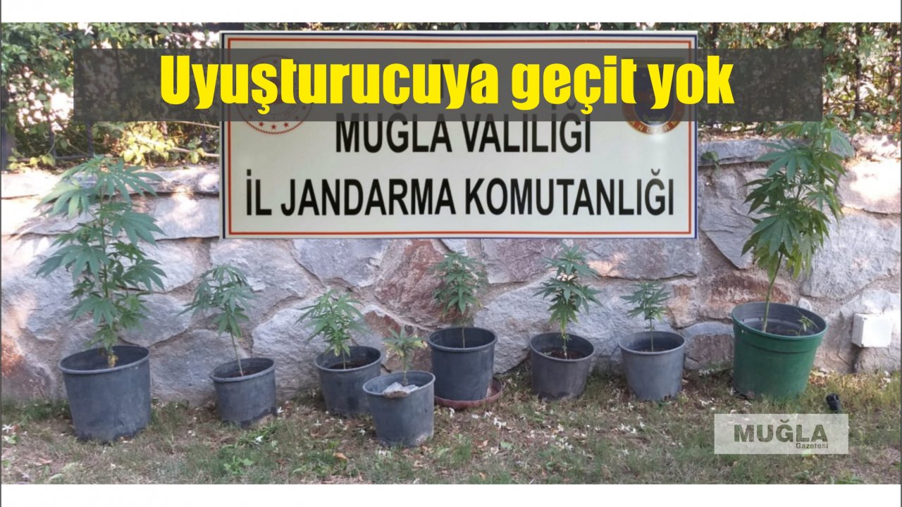 Uyuşturucuya geçit yok