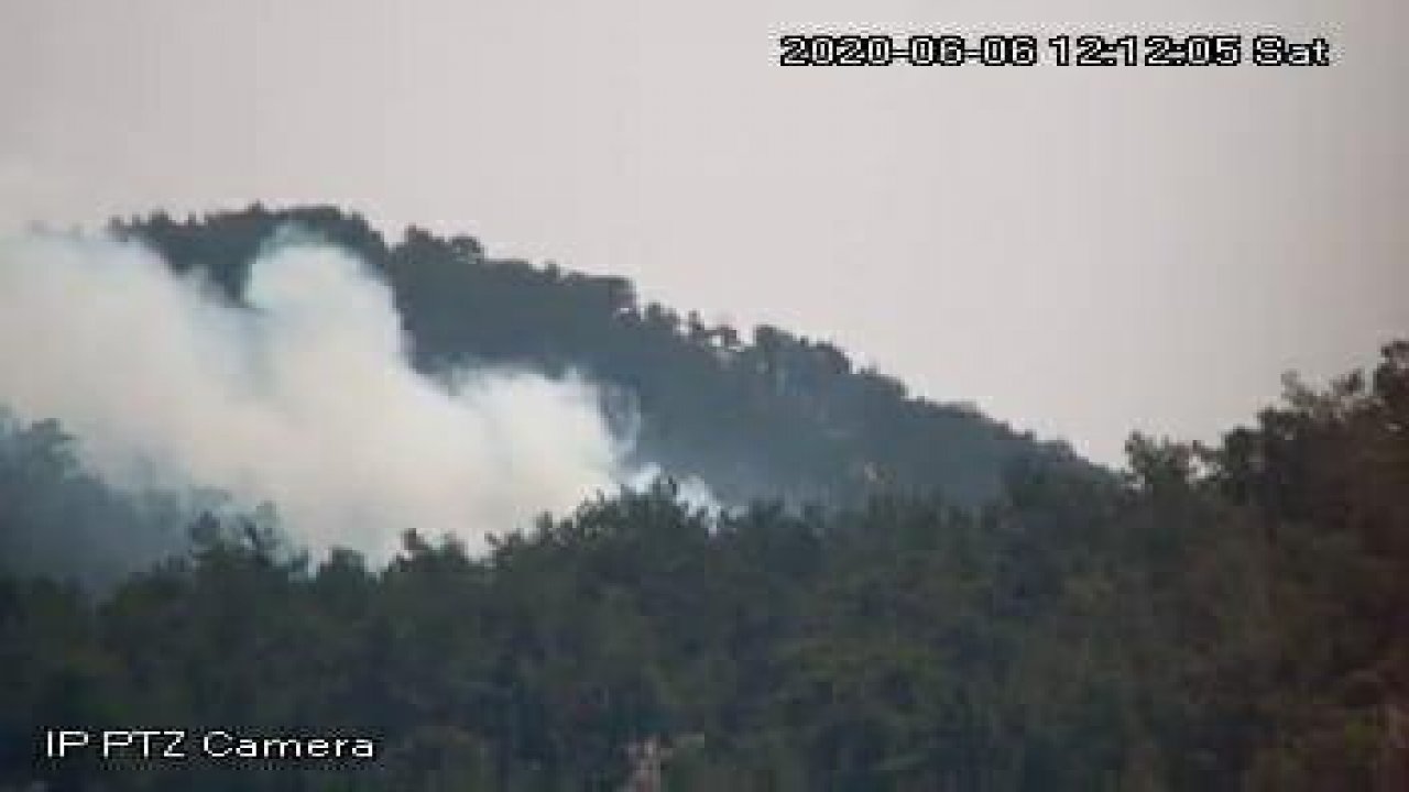 Milas'ta orman yangını