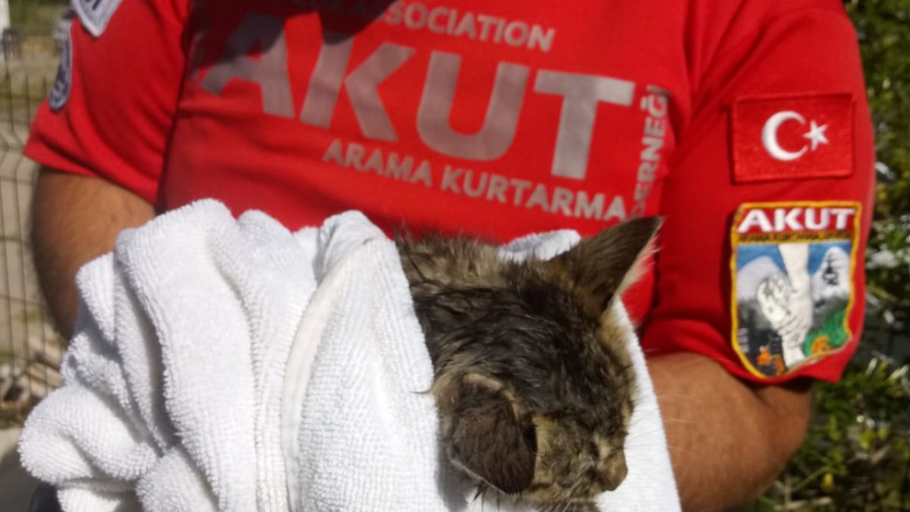 Kanalizasyon borusuna sıkışan kedi yavrusu kurtarıldı