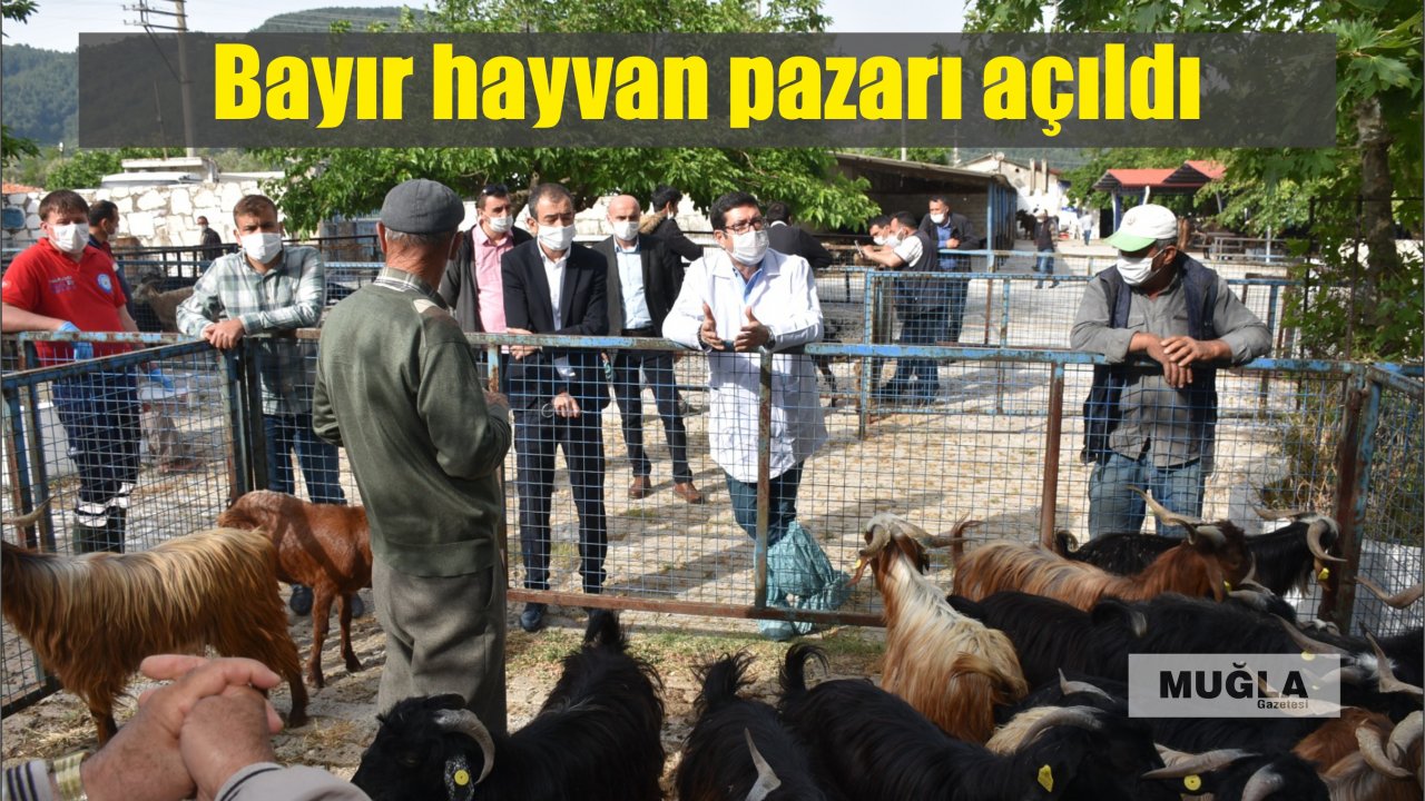 Bayır hayvan pazarı açıldı