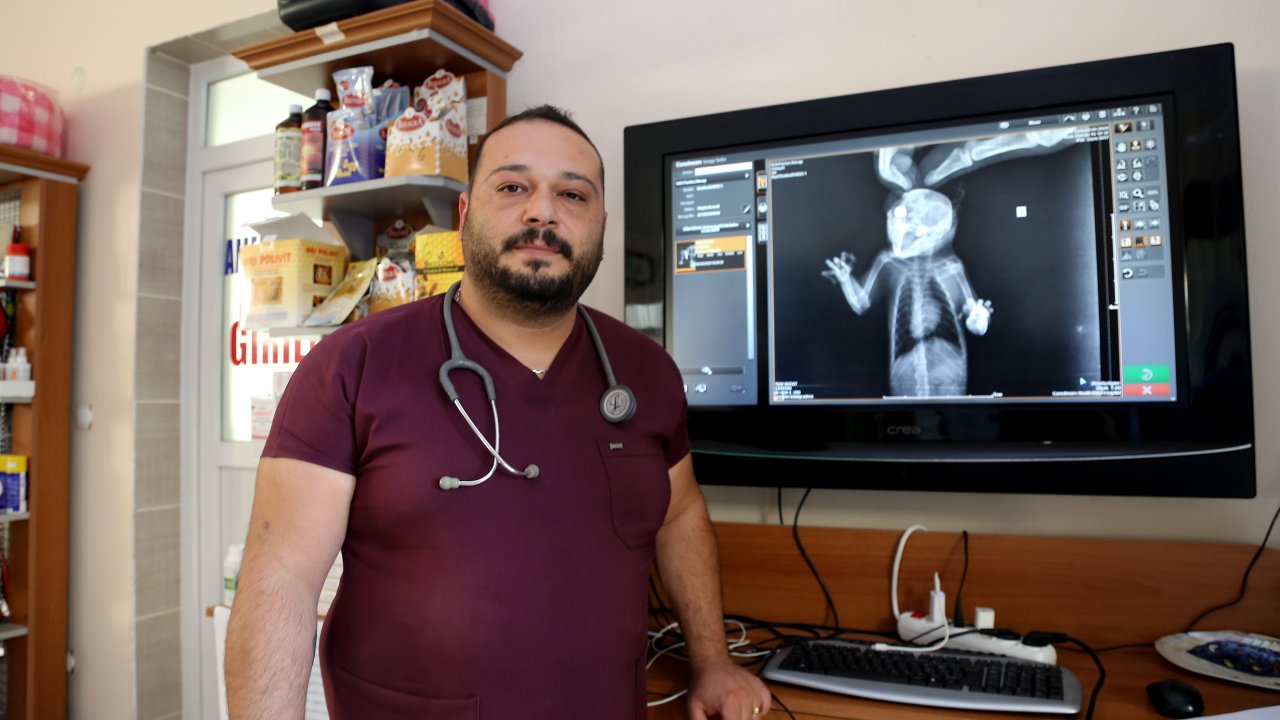 Saçmayla yaralanan sincap tedaviye alındı