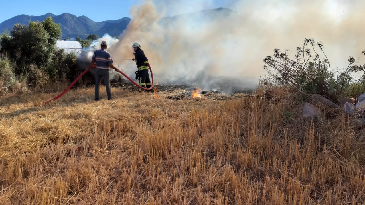 4 farklı alanda  anız yangın çıktı