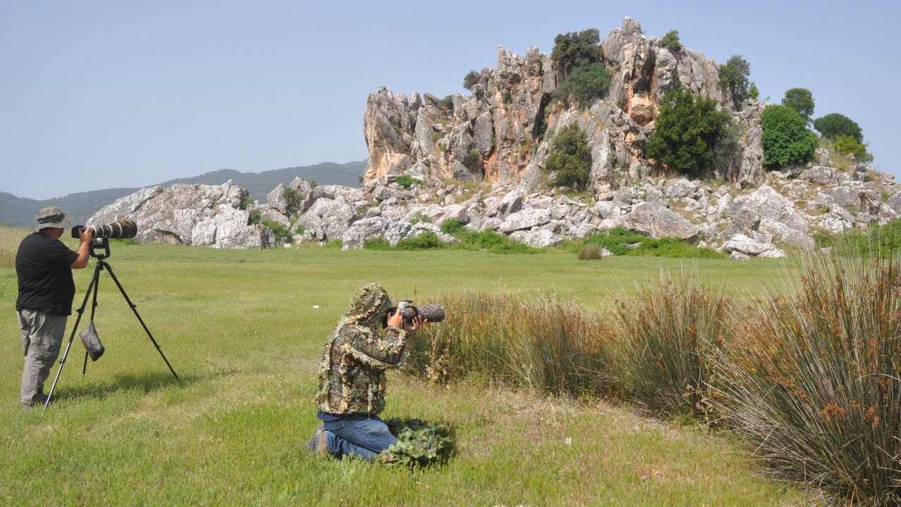 Kuş gözlemcilerinin uğrak yeri:  Dalyan Kanalı ve Köyceğiz Gölü