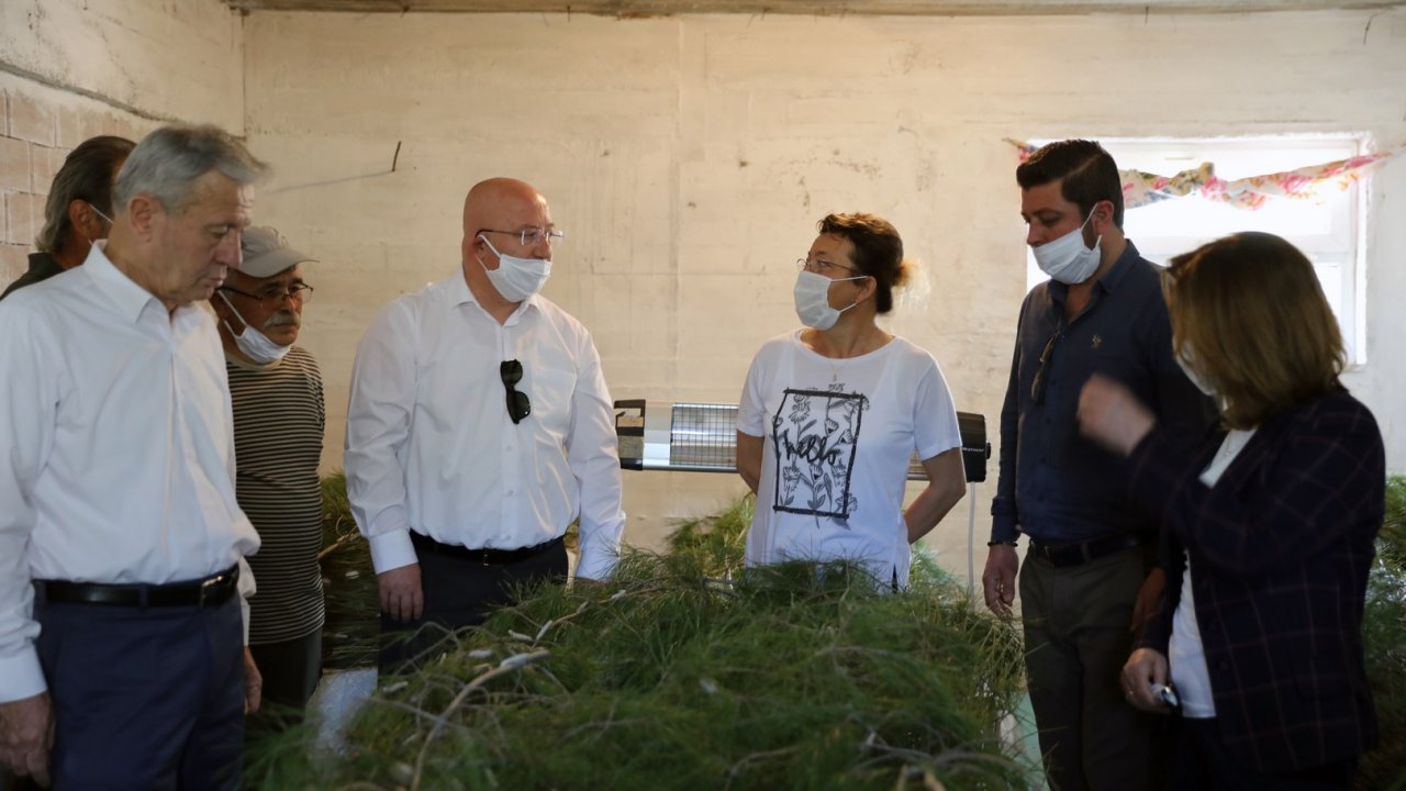 İpekböcekçiliğine kadın eli