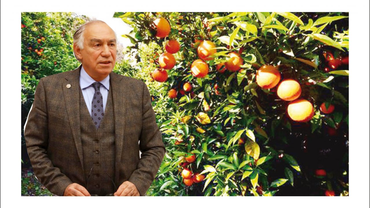 Narenciye üreticisine iyi haber