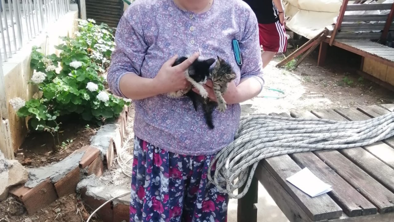 Havalandırma boşluğuna düşen 2 kedi yavrusu kurtarıldı