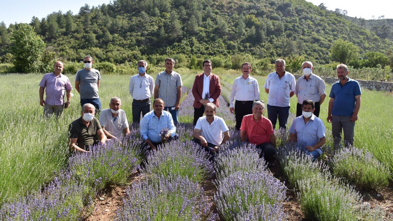 İncirköy, tarımsal turizmin merkezi olacak