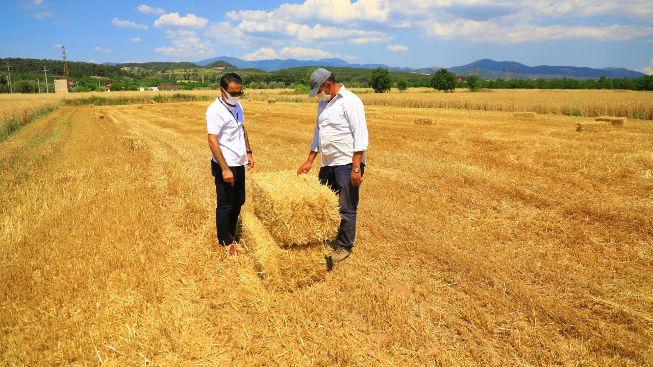 Büyükşehir, çiftçinin yanında