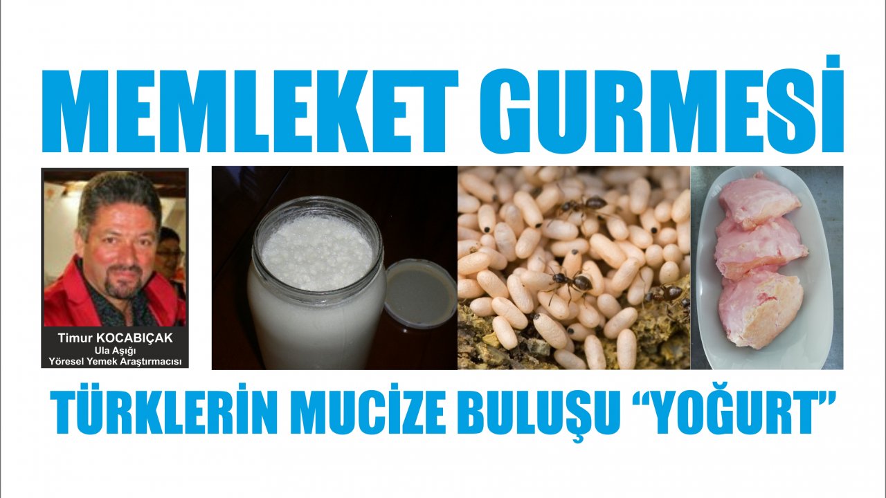 MEMLEKET GURMESİ: TÜRKLERİN MUCİZE BULUŞU “YOĞURT”