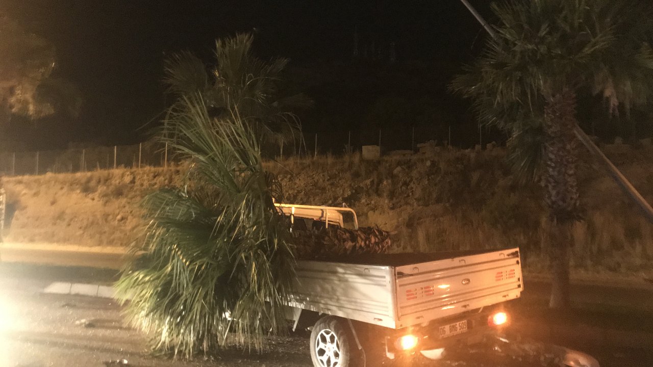 Refüje çarpan kamyonetin sürücüsü yaralandı