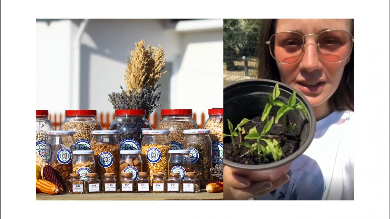 Oyuncu Karaca, Muğla’nın yerel tohumlarıyla iç içe