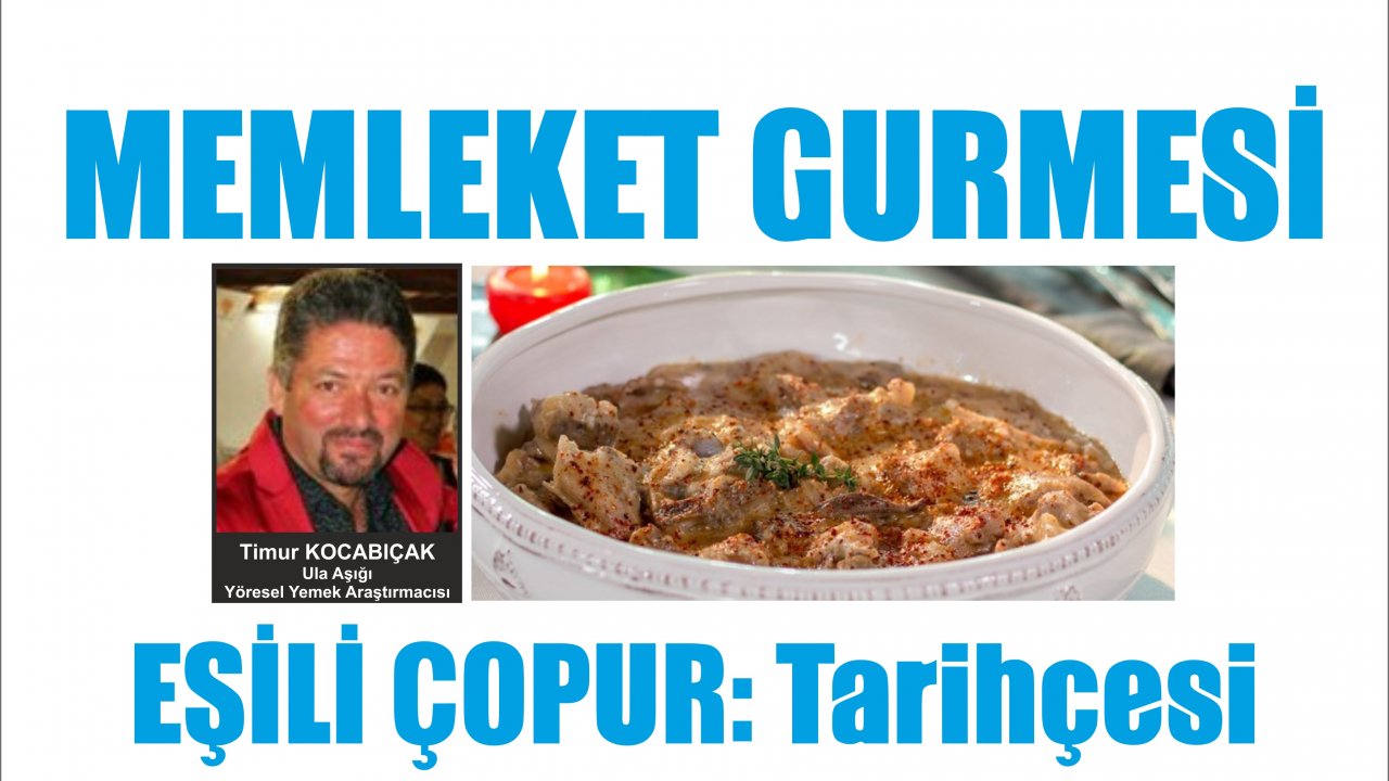 EŞİLİ ÇOPUR : Tarihçesi