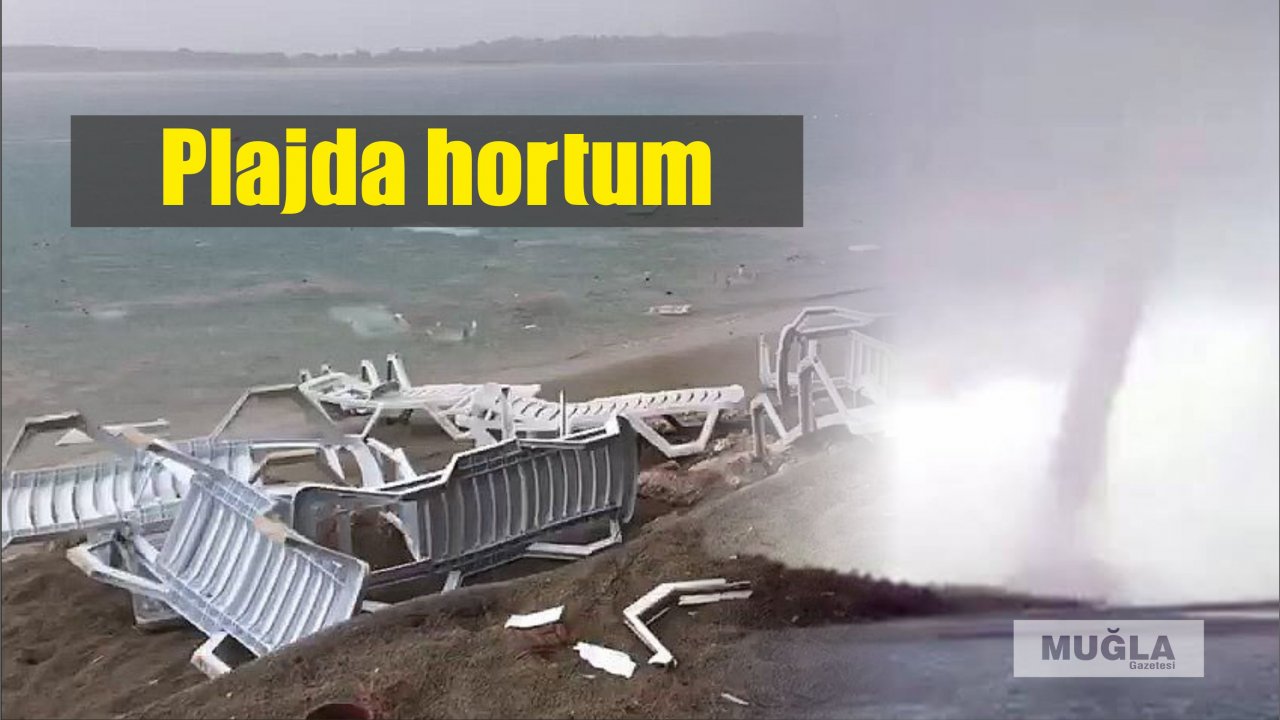 Plajda hortum
