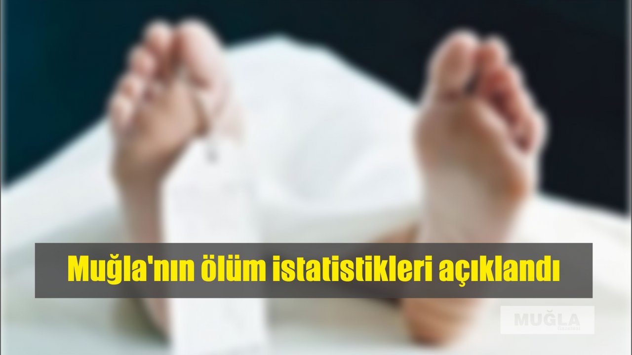 Muğla'nın ölüm istatistikleri açıklandı