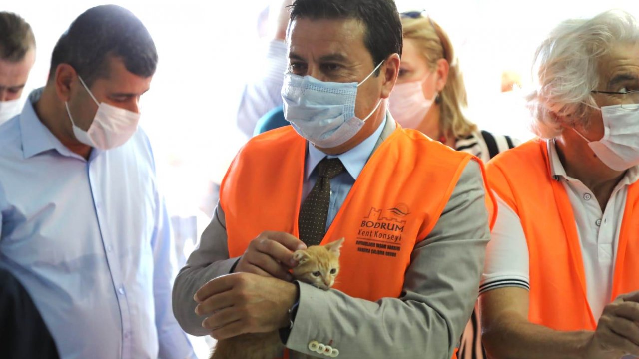 Sokak canlarına özel klinik