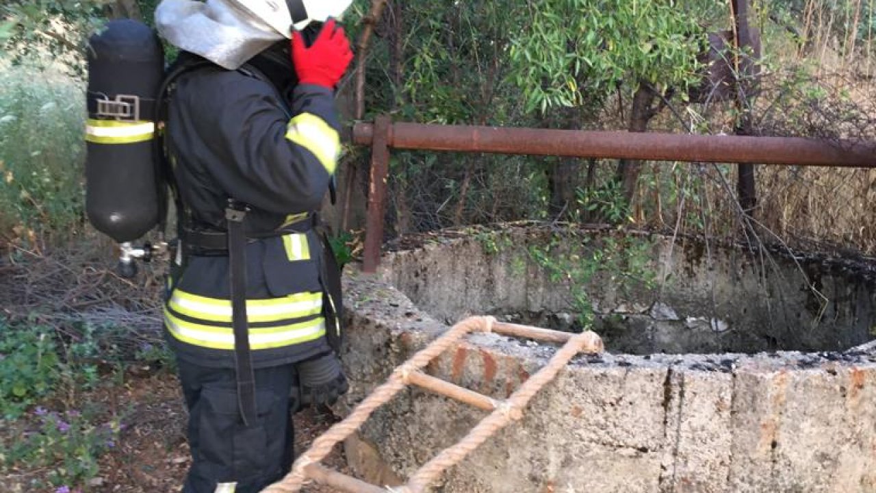 Kuyuya düşen kedi yavrusunu itfaiye kurtardı