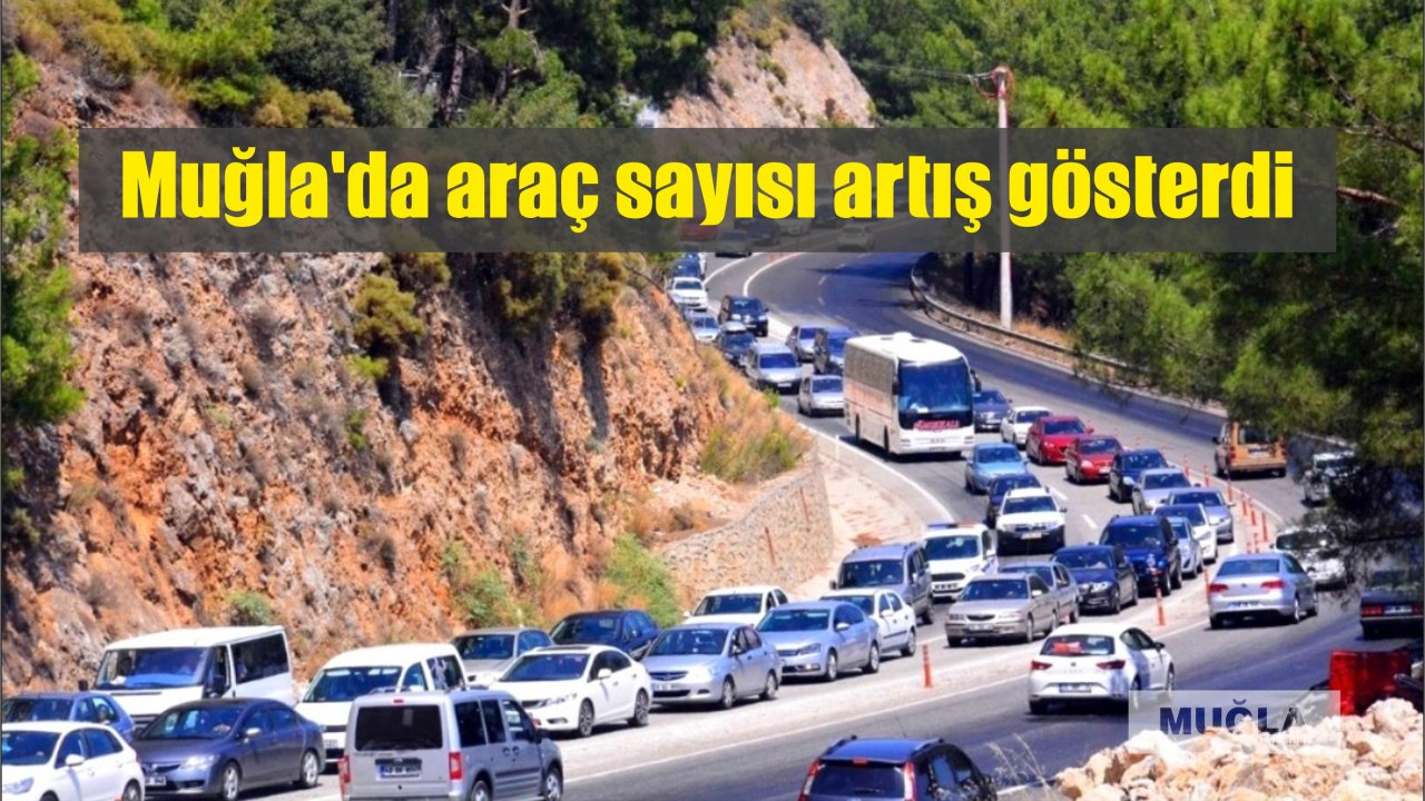 Muğla’da araç sayısı artış gösterdi
