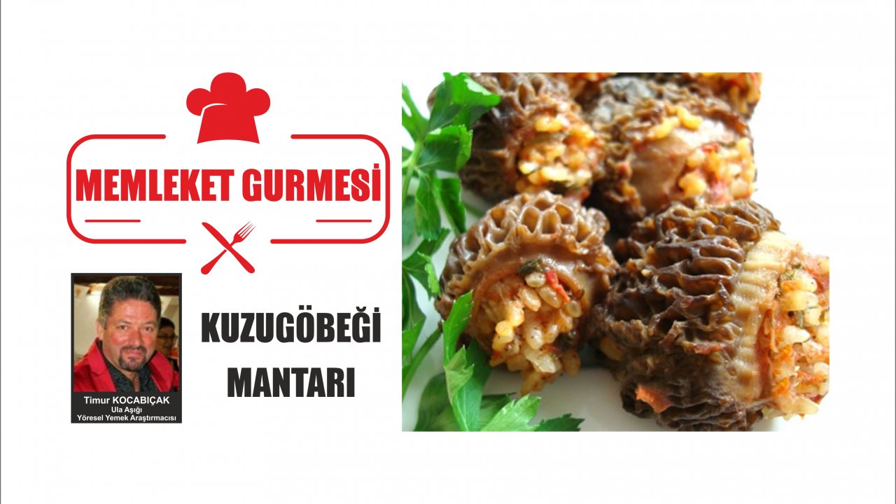 KUZUGÖBEĞİ MANTARI