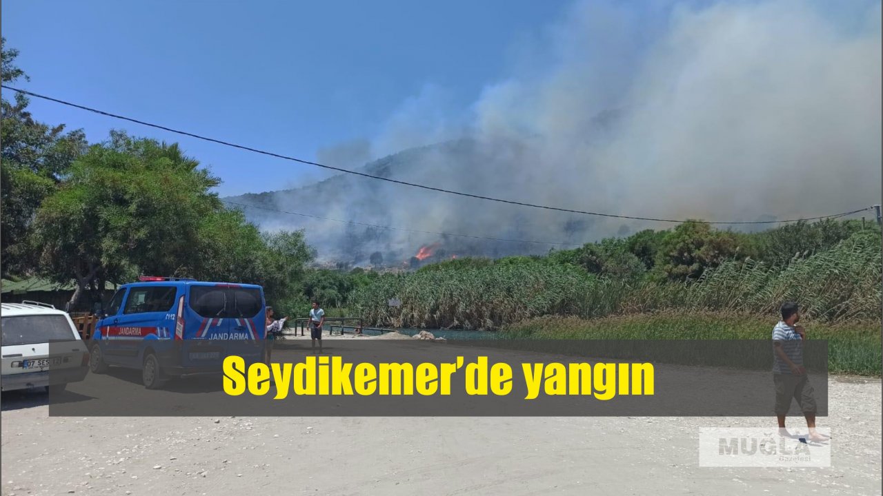 Seydikemer’de yangın