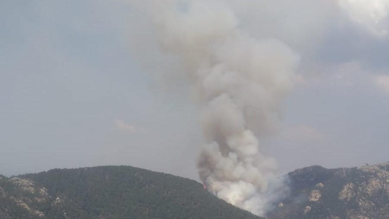 4,5 hektar orman zarar gördü