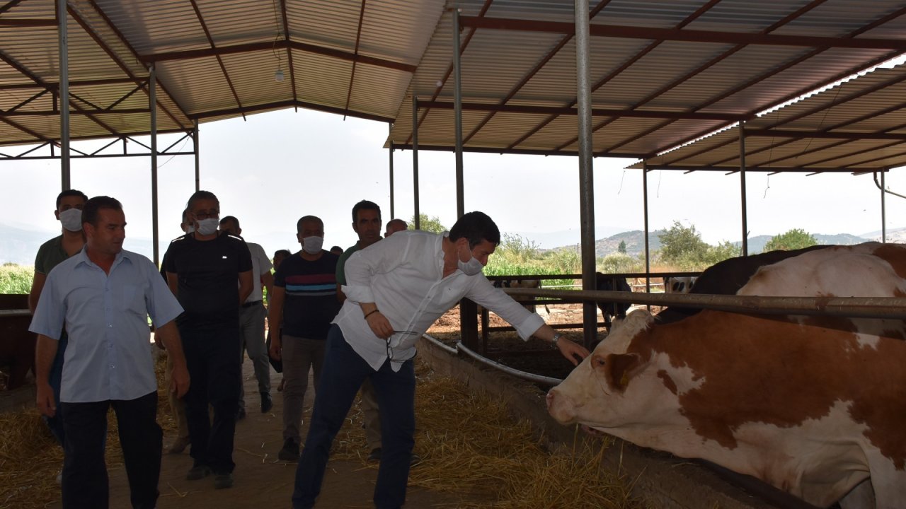 İl Müdürü Saylak, üreticilerle buluştu