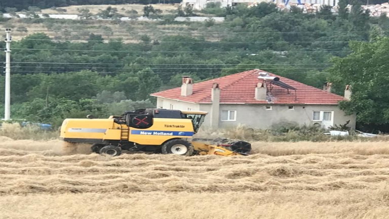 Kavaklıdere Belediyesi’nden tohum atağı