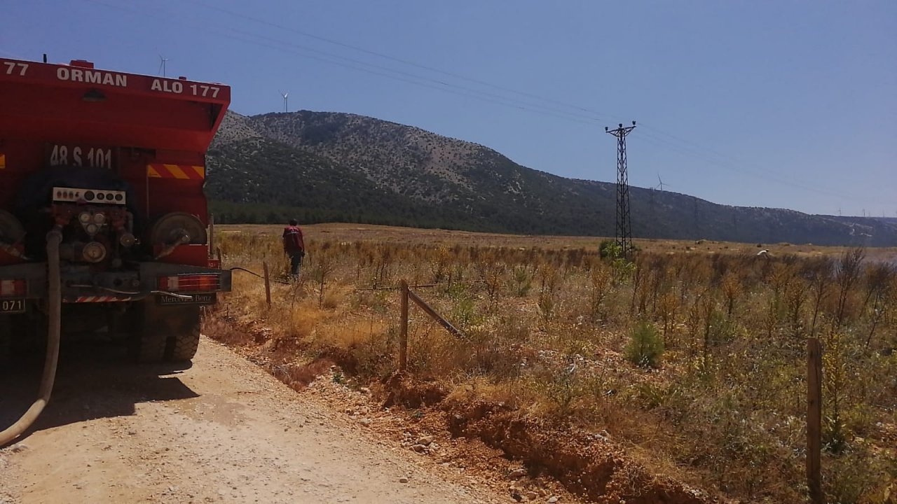 Son Dakika! Düzen Mevkii’nde yangın