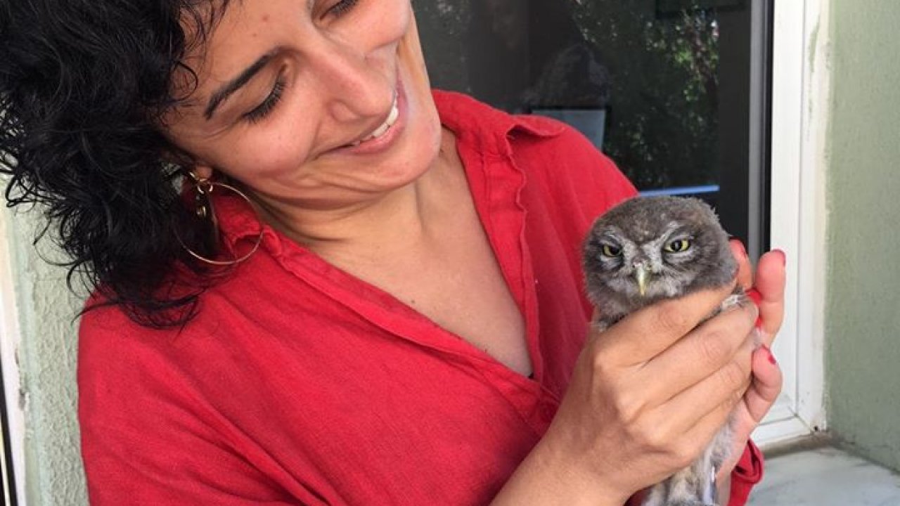 Baykuş yavrusu, koruma altına alındı