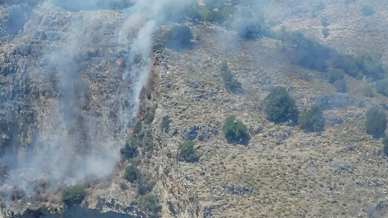 Son dakika!  Dalaman'da orman yangını