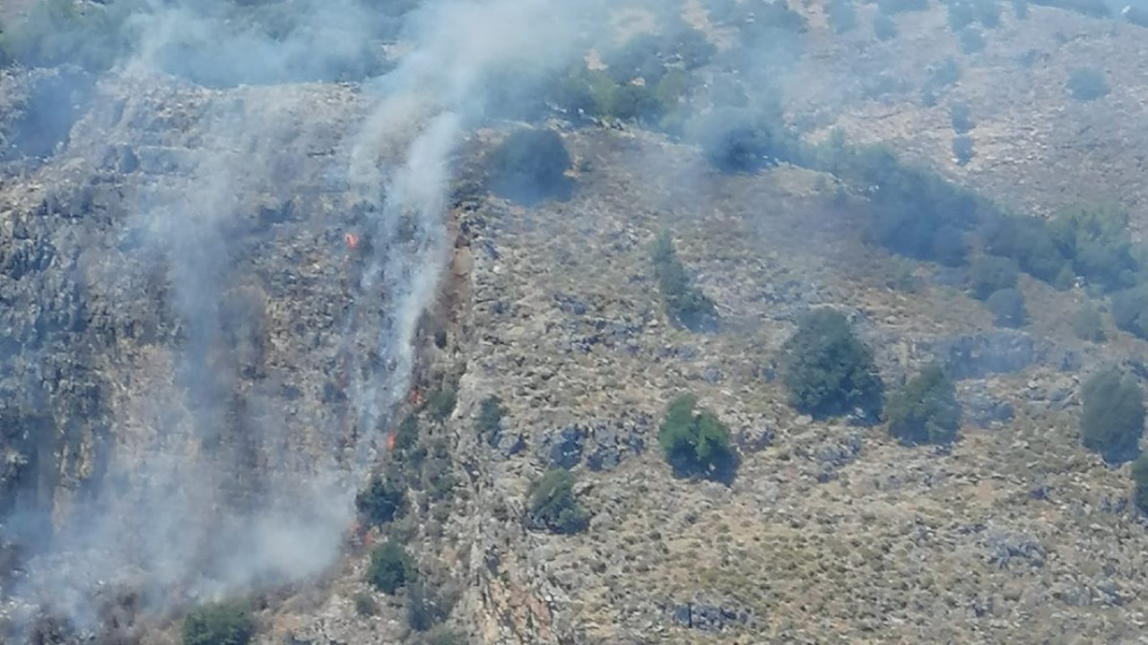 Dalaman’da orman yangını