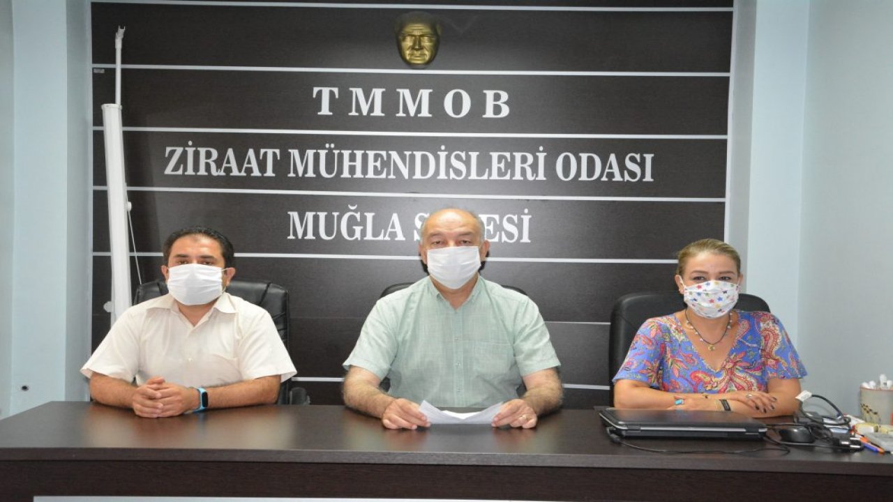 Ziraat Mühendisleri Odası Muğla Şubesi:  “Zirai ürünler ziraat mühendisleri tarafından satılmalı”