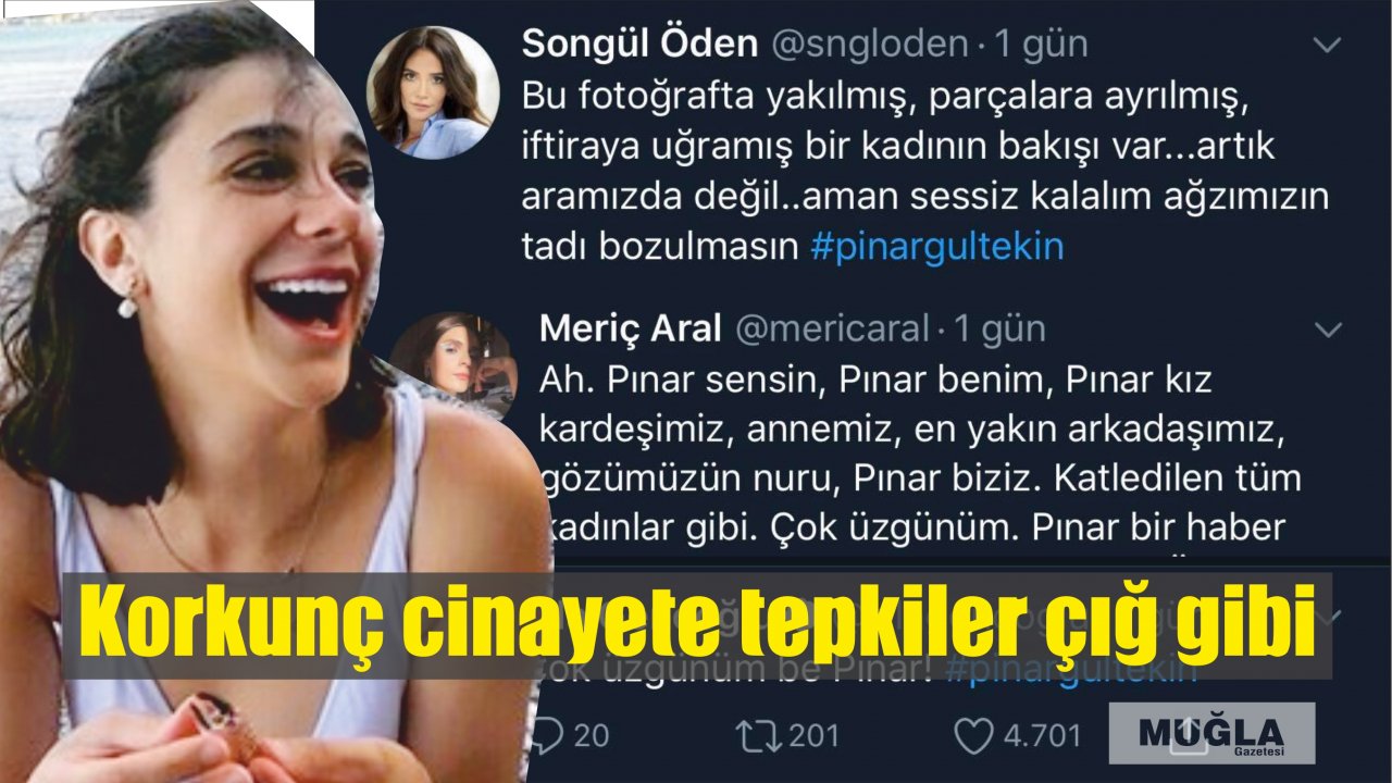 Korkunç cinayete tepkiler çığ gibi
