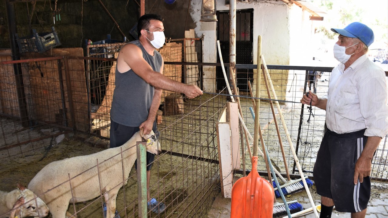 Kurbanlık pazarlığında tokalaşmayı 