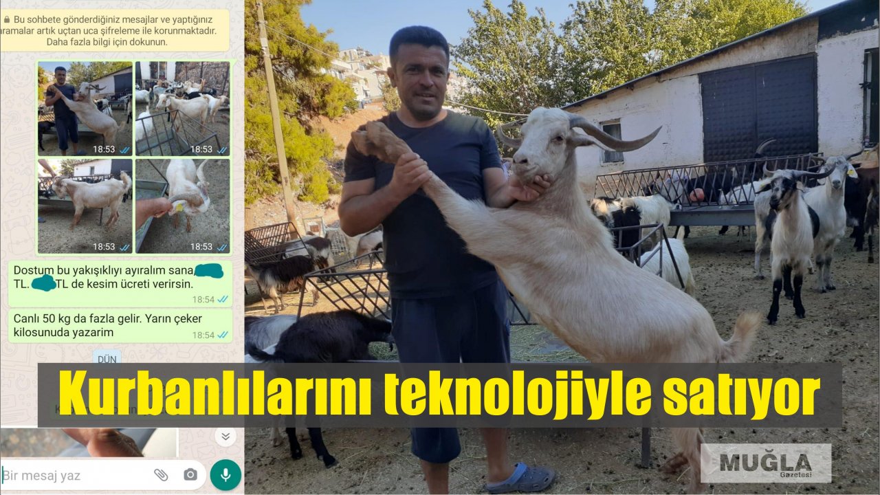 Kurbanlıklarını teknolojiyle satıyor