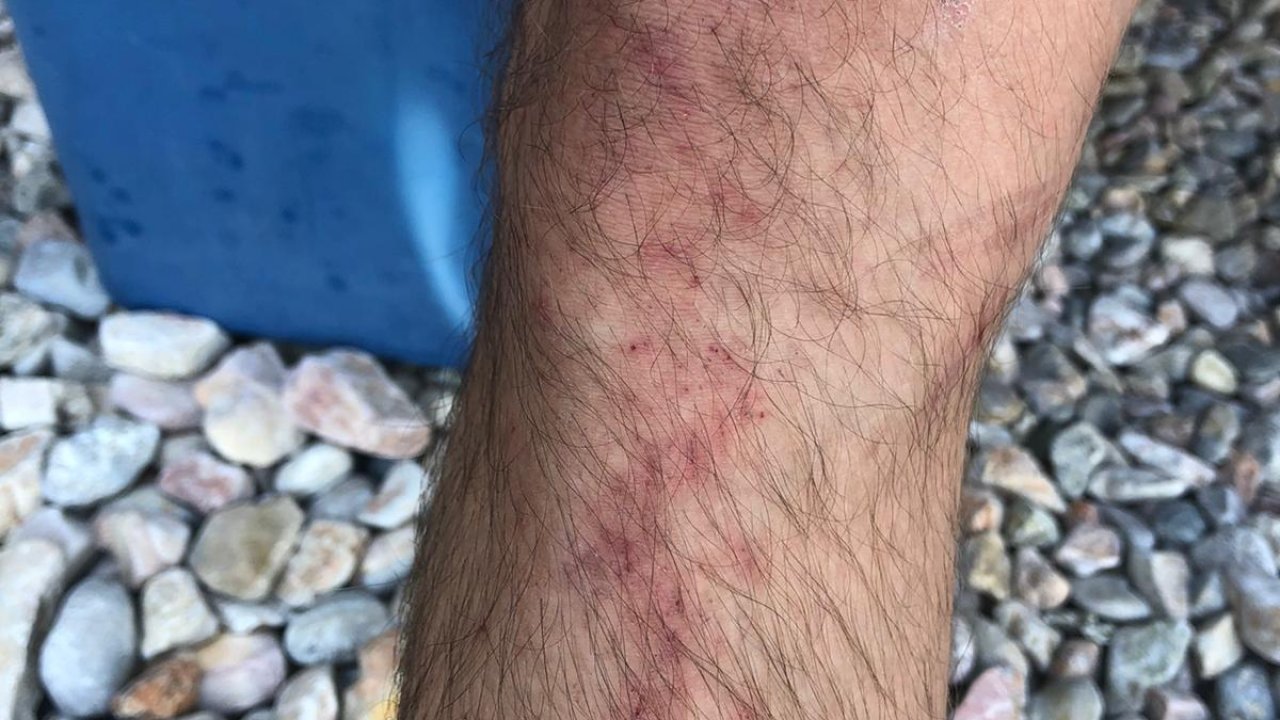 Tatilciler sahile kum bekliyor