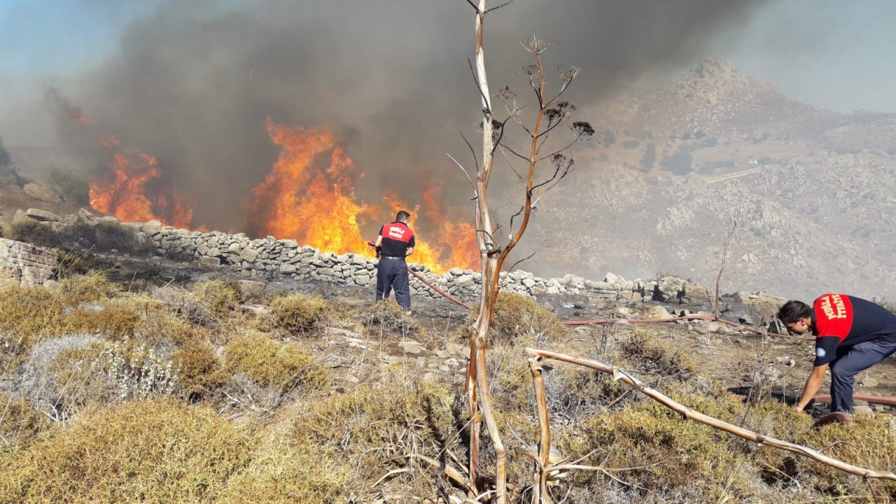 Orman yangınlarına Büyükşehir takviyesi