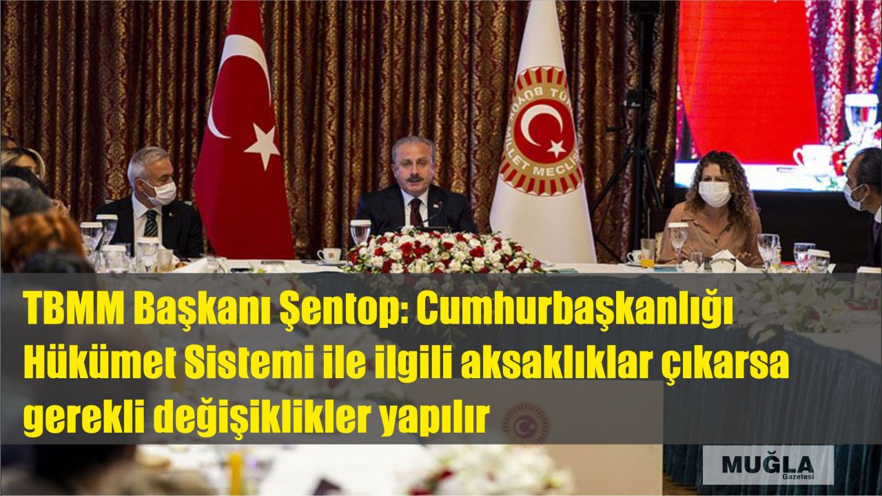 TBMM Başkanı Şentop: Cumhurbaşkanlığı Hükümet Sistemi ile ilgili aksaklıklar çıkarsa gerekli değişiklikler yapılır