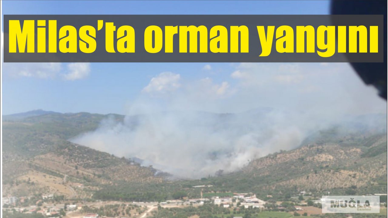Milas’ta orman yangını