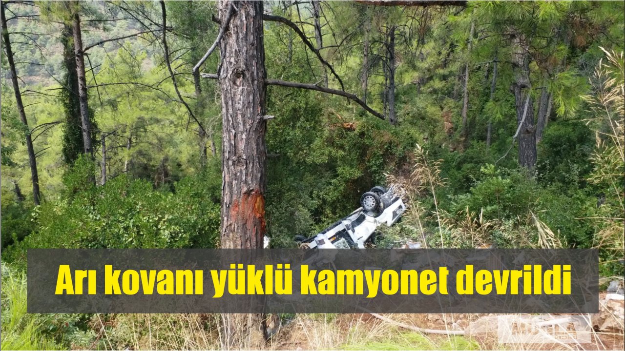 Arı kovanı yüklü kamyonet devrildi
