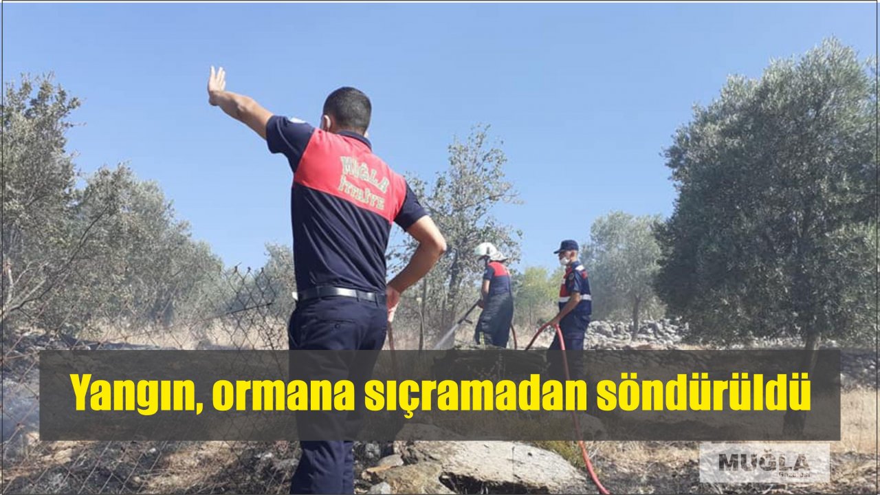 Yangın, ormana sıçramadan söndürüldü