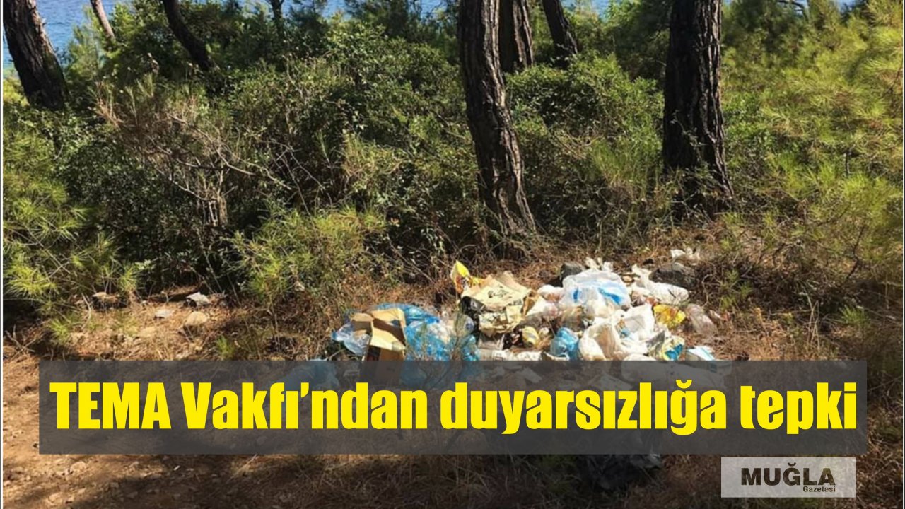 TEMA Vakfı’ndan duyarsızlığa tepki