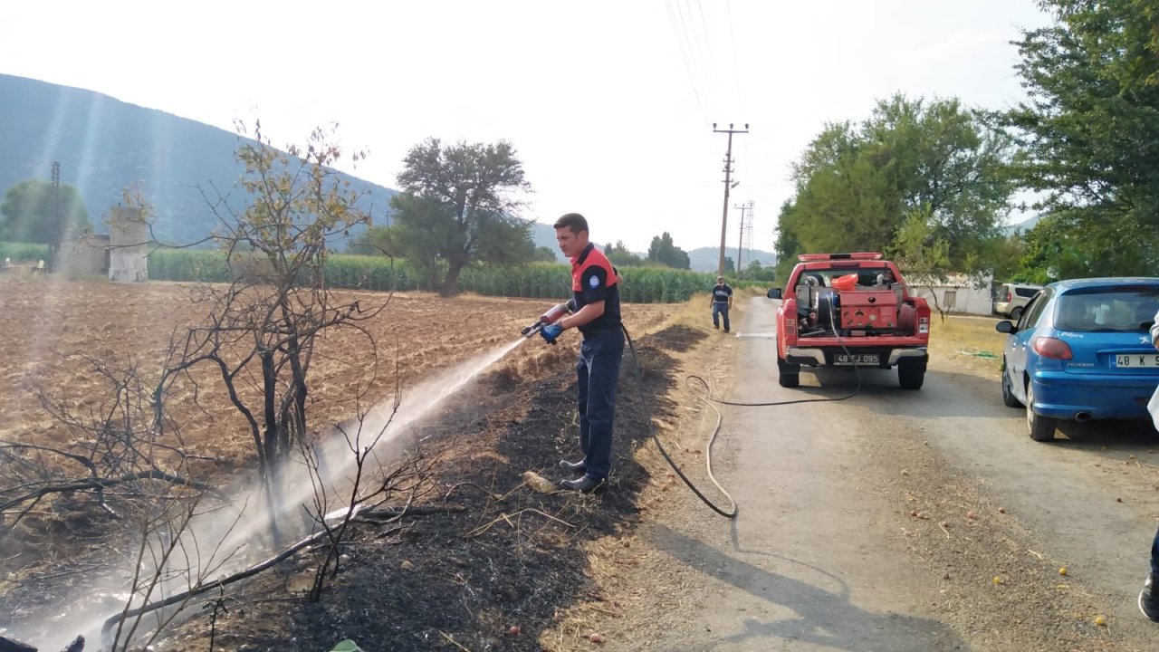 Elektrik direğine düşen yıldırım yangına sebep oldu