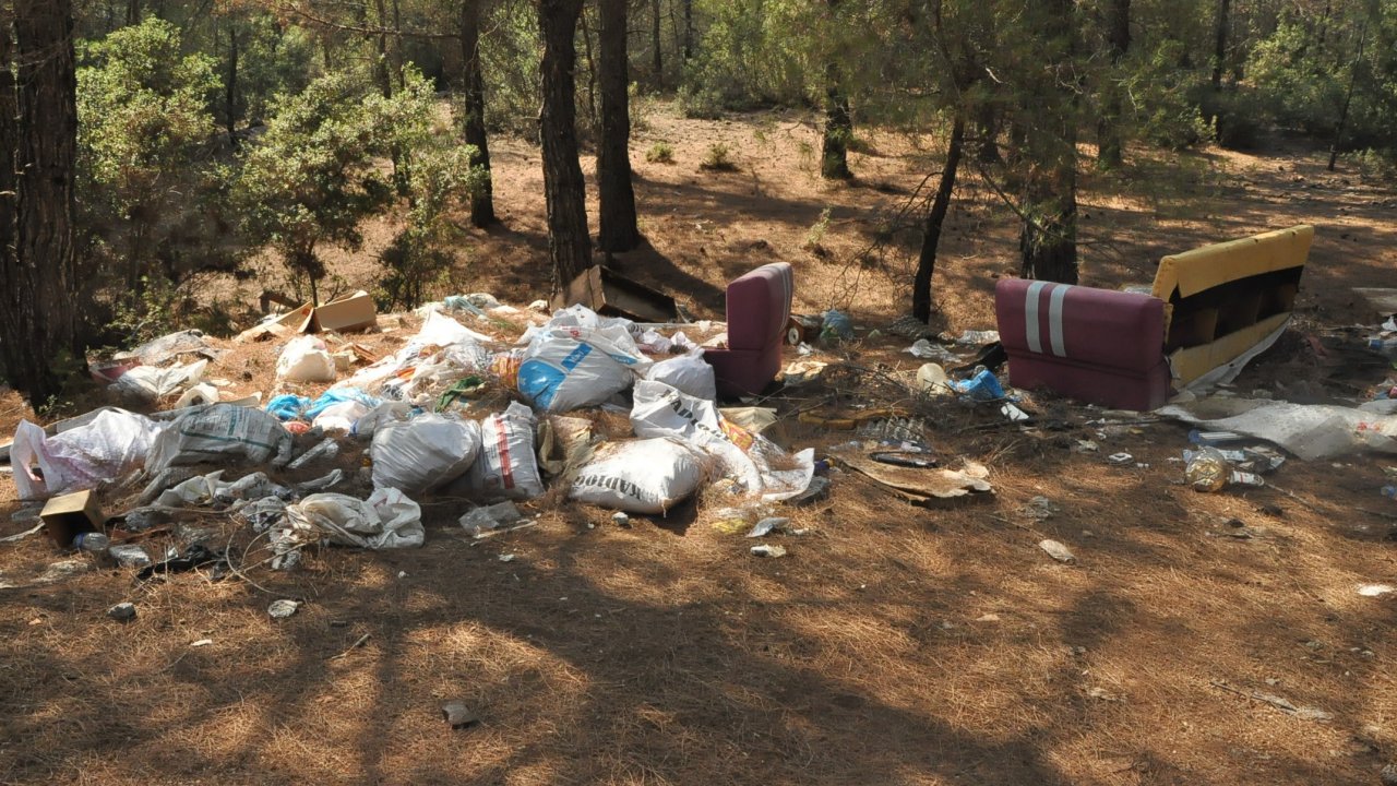 Ormanlık alan çöplüğe döndü