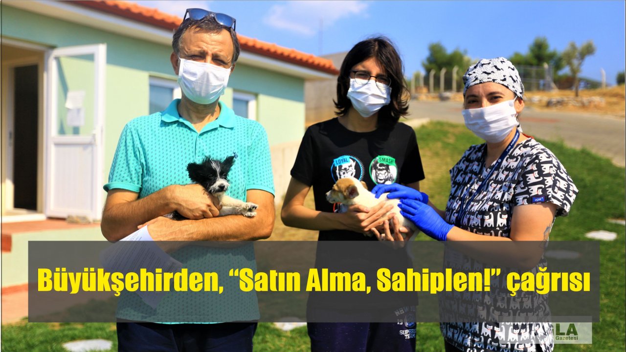 Büyükşehirden, “Satın Alma, Sahiplen!” çağrısı