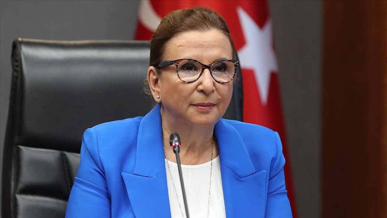 Ticaret Bakanı Pekcan: İkinci el taşıt satışında yeni dönem başladı